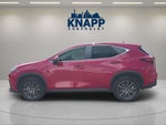 2024 Lexus NX 250 NX 250