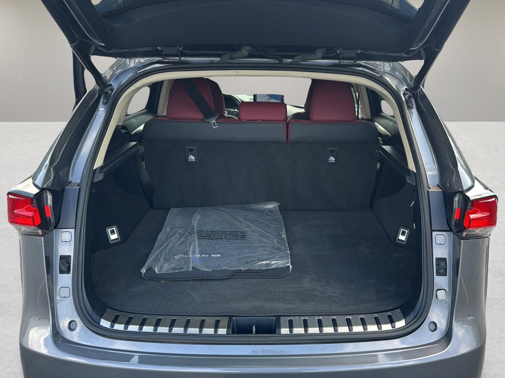 2019 Lexus NX 300 NX 300