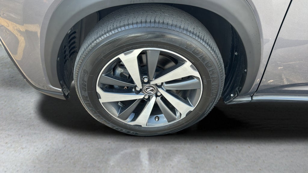 2019 Lexus NX 300 NX 300