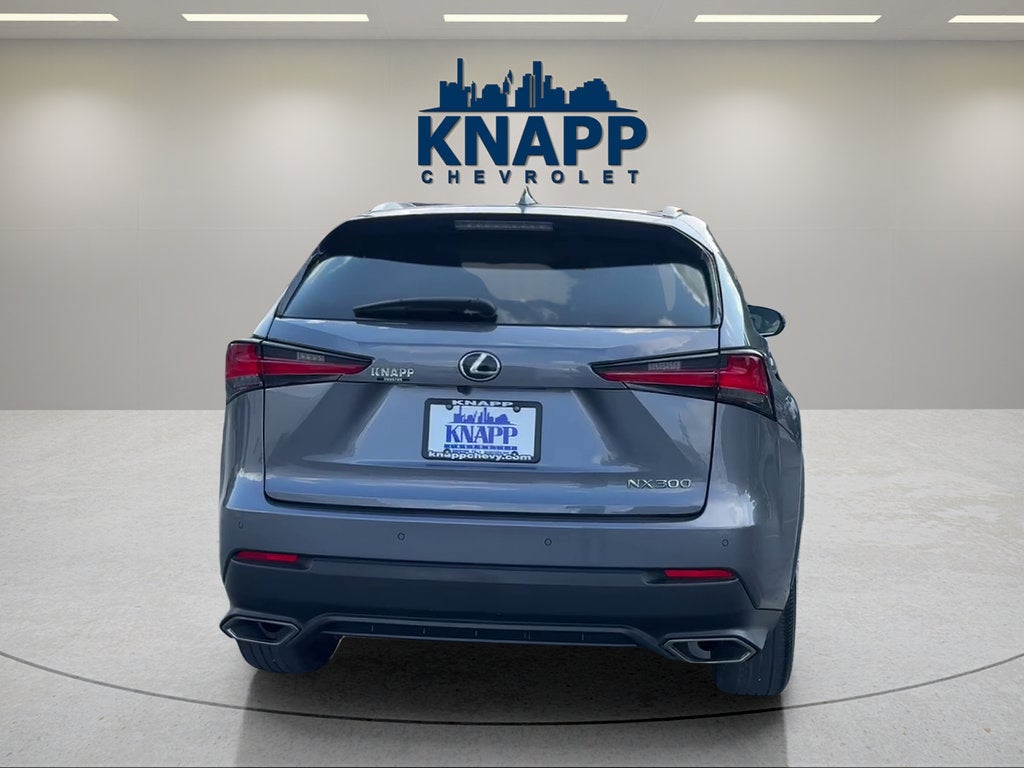 2019 Lexus NX 300 NX 300